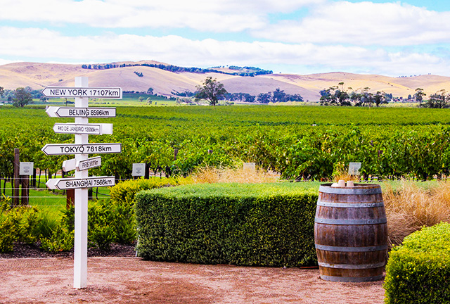 Barossa Valley tours from Adelaide