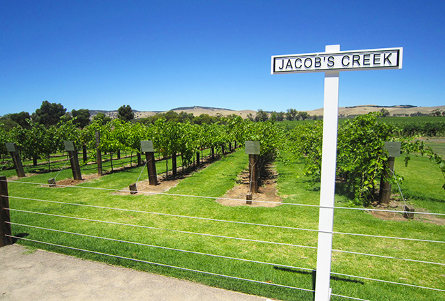 Barossa Valley wine tours